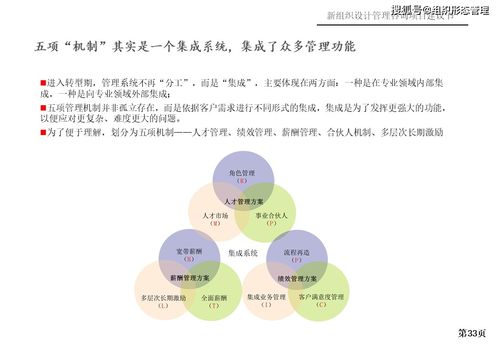 新組織設(shè)計(jì)管理咨詢項(xiàng)目策劃與公關(guān)服務(wù)建議書(shū)